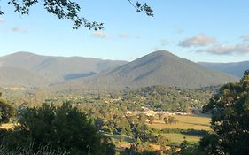 Beauty Of Healesville